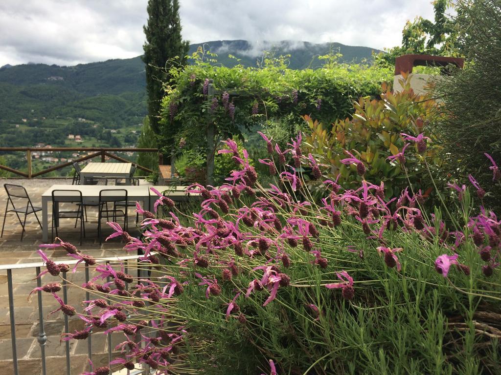 Agriturismo Braccicorti Ξενοδοχείο Pieve Fosciana Εξωτερικό φωτογραφία