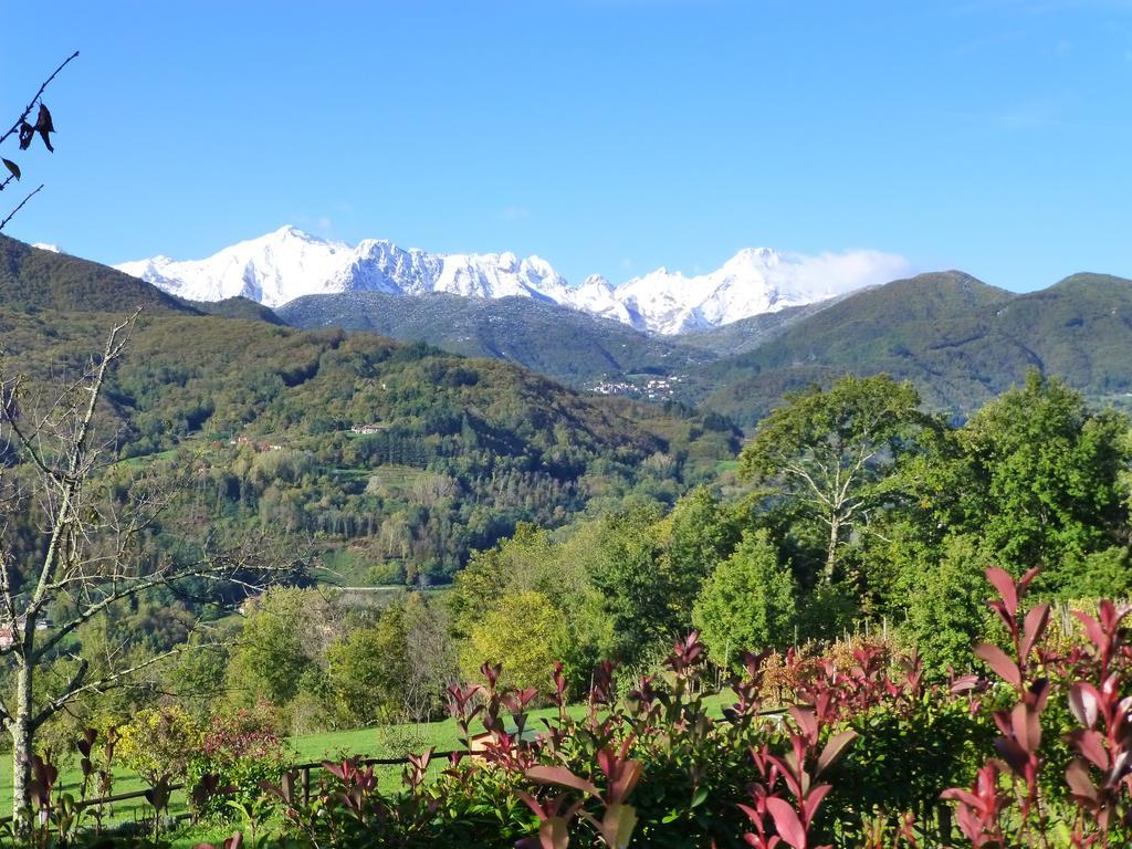 Agriturismo Braccicorti Ξενοδοχείο Pieve Fosciana Εξωτερικό φωτογραφία