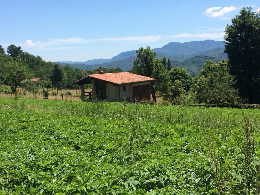 Agriturismo Braccicorti Ξενοδοχείο Pieve Fosciana Εξωτερικό φωτογραφία