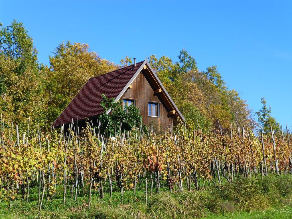 Agriturismo Braccicorti Ξενοδοχείο Pieve Fosciana Εξωτερικό φωτογραφία