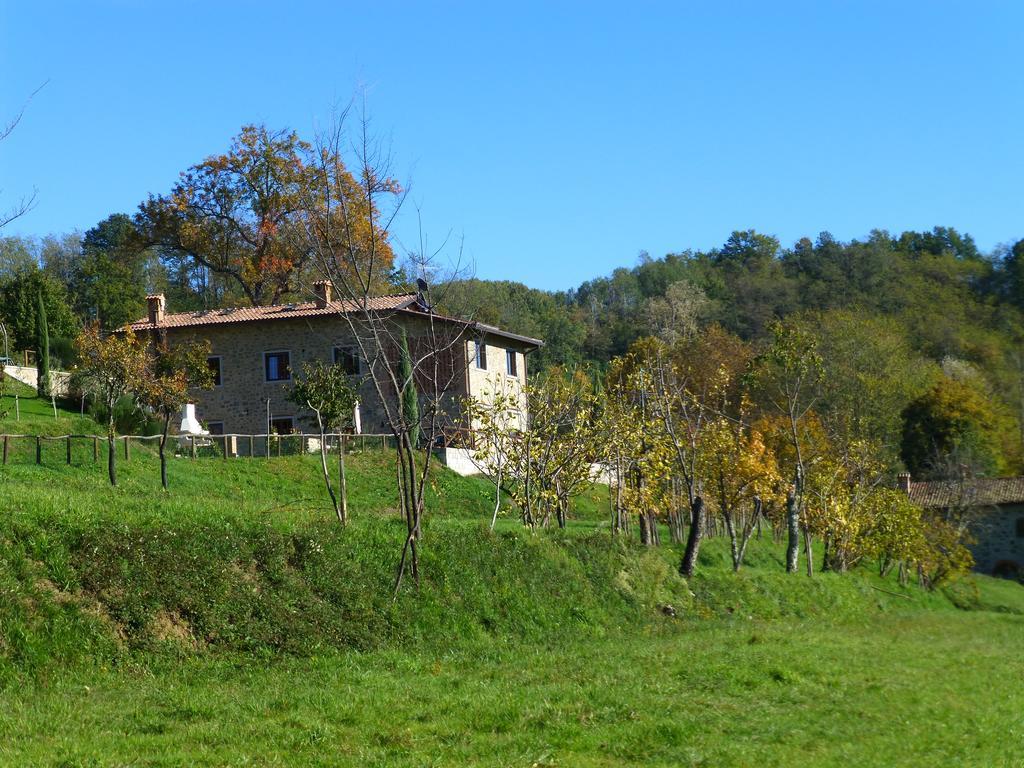 Agriturismo Braccicorti Ξενοδοχείο Pieve Fosciana Εξωτερικό φωτογραφία