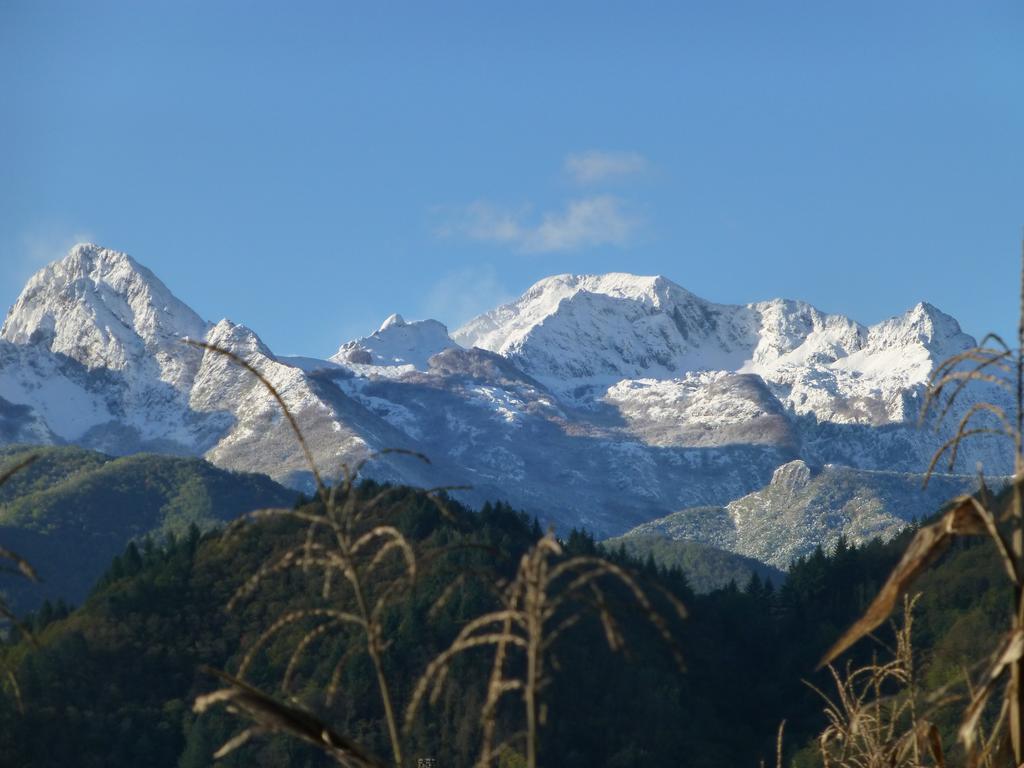 Agriturismo Braccicorti Ξενοδοχείο Pieve Fosciana Εξωτερικό φωτογραφία
