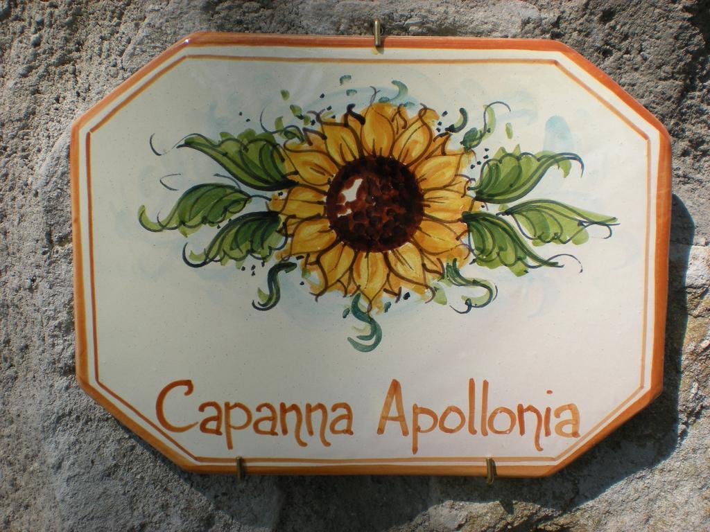 Agriturismo Braccicorti Ξενοδοχείο Pieve Fosciana Εξωτερικό φωτογραφία