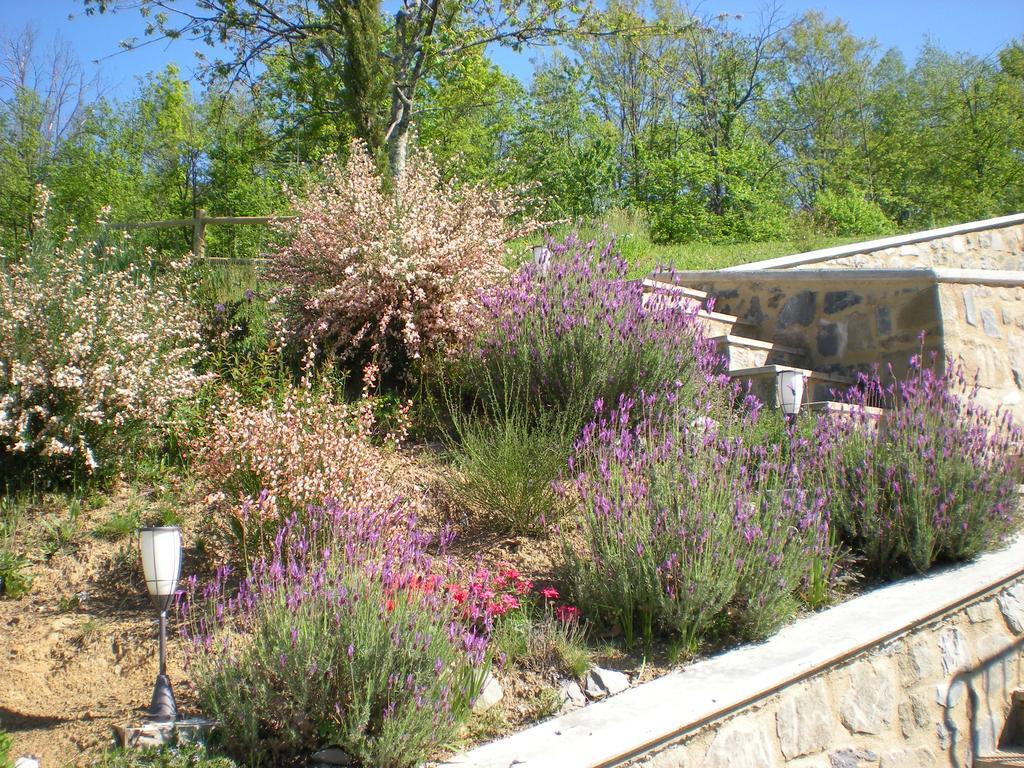 Agriturismo Braccicorti Ξενοδοχείο Pieve Fosciana Εξωτερικό φωτογραφία