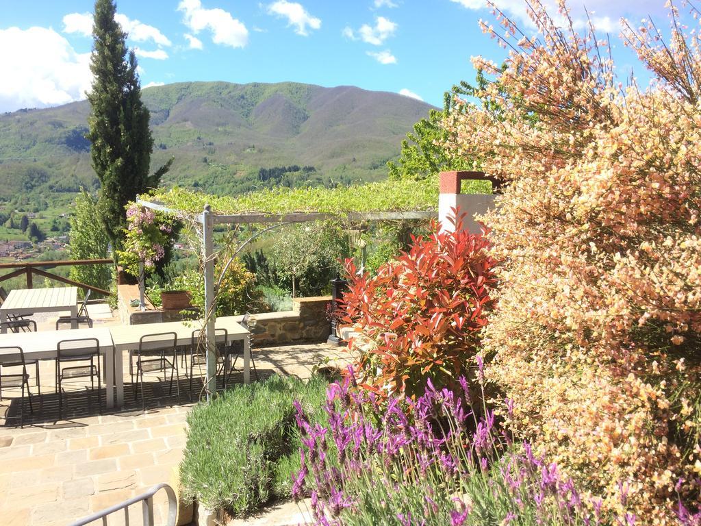 Agriturismo Braccicorti Ξενοδοχείο Pieve Fosciana Εξωτερικό φωτογραφία